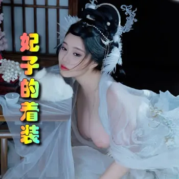 妃子的着装